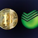 Выгодная и быстрая покупка Биткоин через Сбербанк Выгодная и быстрая покупка Биткоин через Сбербанк